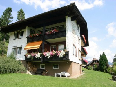 Apartment Wohnung in Afritz nahe Skigebieten - Outdoor photo 7