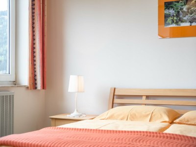 Apartment Wohnung in Afritz nahe Skigebieten - Features photo 28