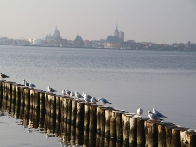 Holiday house House Poseidon - Environment photo 18