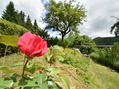 Holiday house Charmantes Ferienhaus in Deifeld - Outdoor photo 40