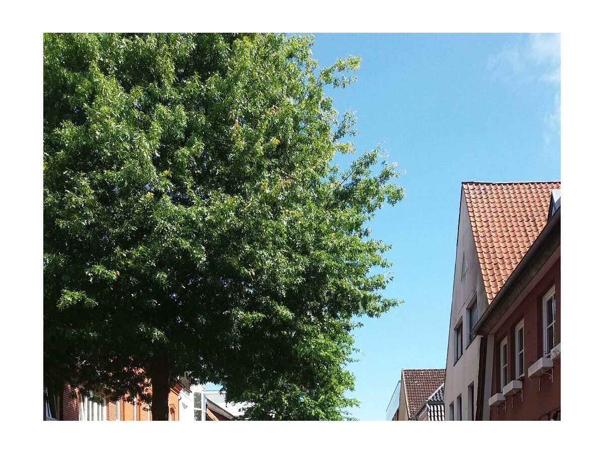 Holiday apartment Brunnenstrasse - Outdoor photo 5