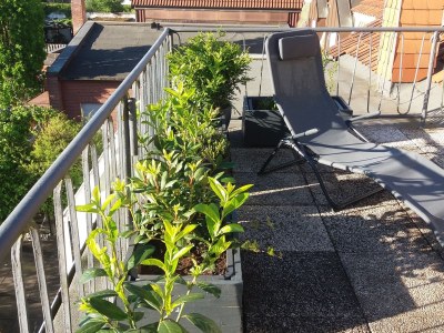 Holiday apartment Brunnenstrasse in Bremervörde - Holiday apartment