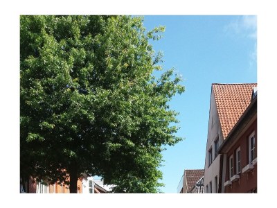 Holiday apartment Brunnenstrasse - Outdoor photo 5