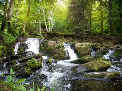 Holiday house 5-star log cabin Harmonie Cabin Holiday home - Environment photo 24