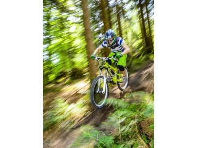 Holiday house 5-star log cabin Harmonie Cabin Holiday home - Environment photo 25