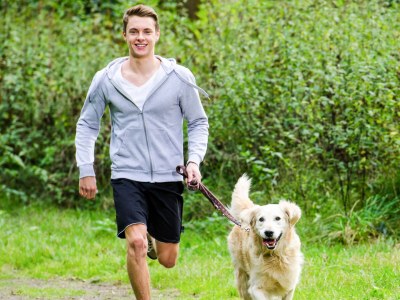 Holiday house 5-star log cabin Harmonie Cabin Holiday home - Environment photo 26