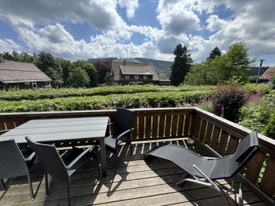 Holiday house 5 star cabin Relax Hütte holiday home - Features photo 12