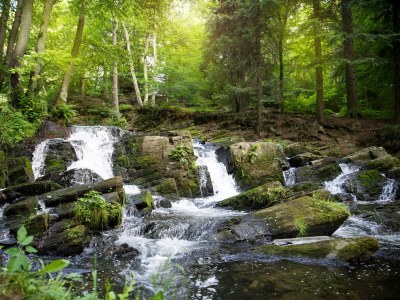 Holiday house 5 star cabin Relax Hütte holiday home - Environment photo 21