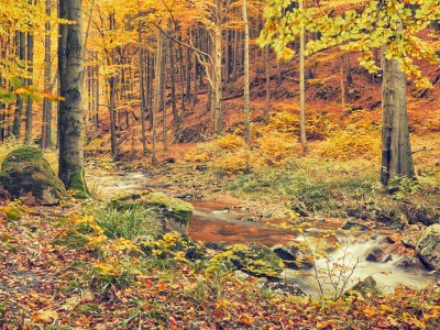 Holiday house 5 star cabin Romantik Hütte holiday home - Environment photo 25