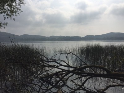 Holiday apartment Pellenzblick - Environment photo 20