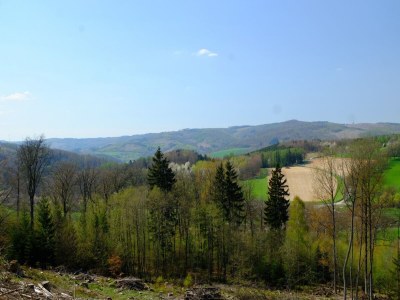 Holiday house Sorpesee Ferienhaus mit Panoramablick - Environment photo 28