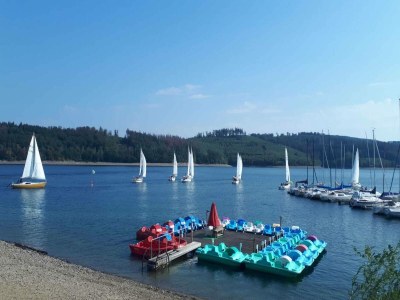 Holiday house Sorpesee Ferienhaus mit Panoramablick - Environment photo 29