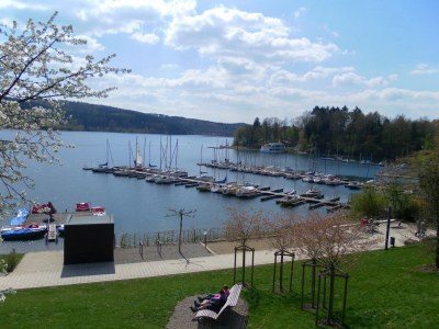 Holiday house Sorpesee Ferienhaus mit Panoramablick - Environment photo 32