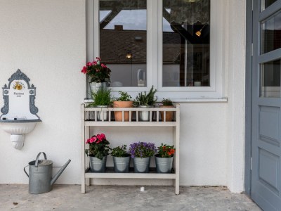 Holiday house Ferienhaus Burgenland 2 - Outdoor photo 4