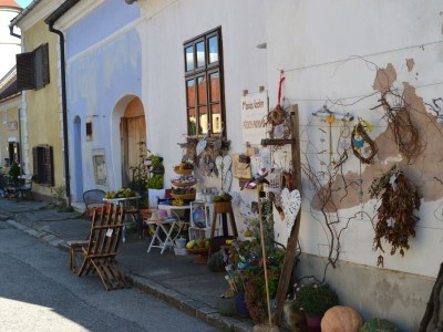 Holiday house Ferienhaus Burgenland 2 - Environment photo 20
