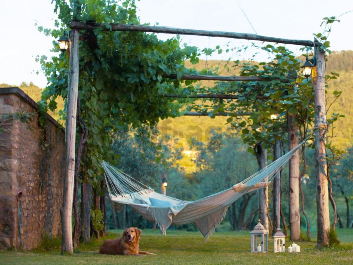 Holiday house Holiday house in an absolute exclusive location - Outdoor photo 5