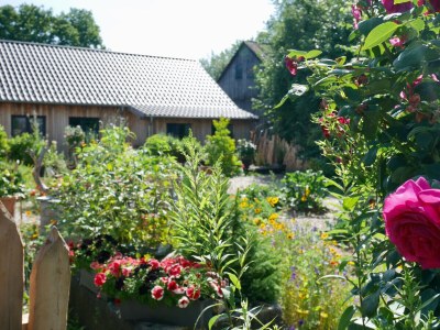 Holiday apartment Wellness & Entspannung im Fichtelgebirge, isländische Sauna, Massage, HotTub - Outdoor photo 4