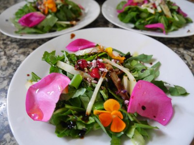 Holiday apartment Wellness & Entspannung im Fichtelgebirge, isländische Sauna, Massage, HotTub - Outdoor photo 11