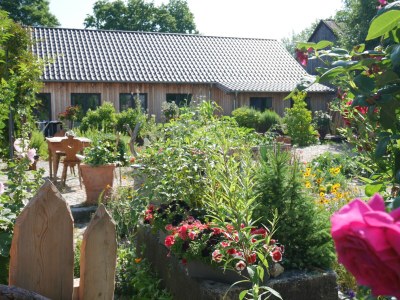 Holiday apartment Wellness & Entspannung im Fichtelgebirge, isländische Sauna, Massage, HotTub - Outdoor photo 14