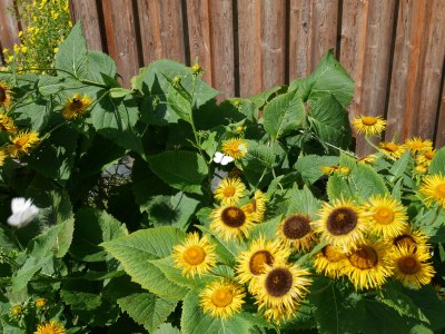 Holiday apartment Wellness & Entspannung im Fichtelgebirge, isländische Sauna, Massage, HotTub - Outdoor photo 15