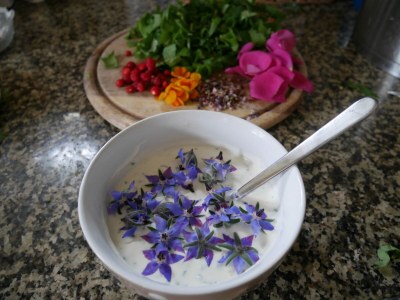 Holiday apartment Wellness & Entspannung im Fichtelgebirge, isländische Sauna, Massage, HotTub - Outdoor photo 19