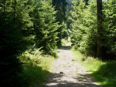 Holiday apartment Wellness & Entspannung im Fichtelgebirge, isländische Sauna, Massage, HotTub - Environment photo 36