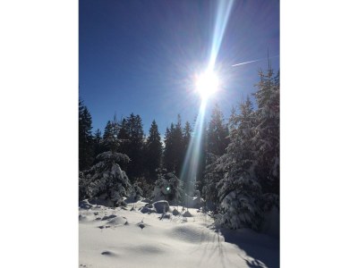 Holiday apartment Wellness & Entspannung im Fichtelgebirge, isländische Sauna, Massage, HotTub - Environment photo 40