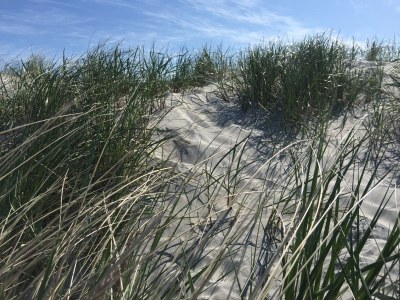 Holiday house - No title - - Environment photo 30