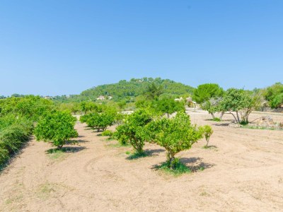 Villa Sa Rota (Den Joan Porrerenc) - Outdoor photo 15