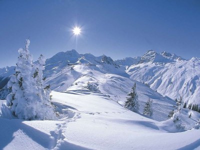 Holiday apartment Cottage by the Creek - Environment photo 19