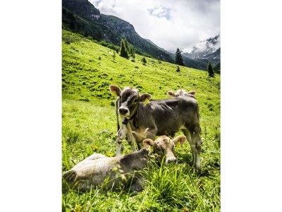 Holiday apartment Cottage by the Creek - Environment photo 21