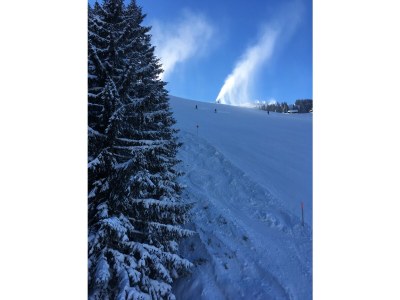 Holiday apartment Cottage by the Creek - Environment photo 22