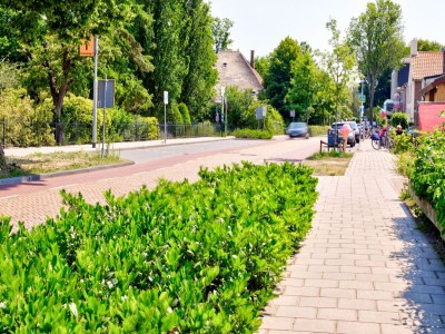 Apartment Modern Apartment in Schoorl near the Beach - Environment photo 35