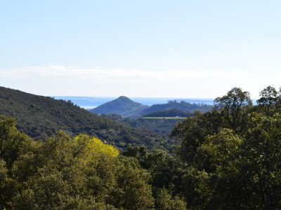 Holiday house Genzel - Environment photo 21