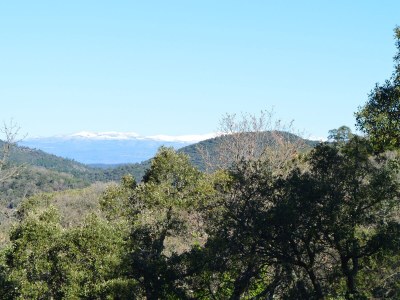 Holiday house Genzel - Environment photo 27