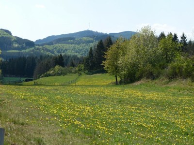 Holiday house Ferienhaus Christina - Outdoor photo 8