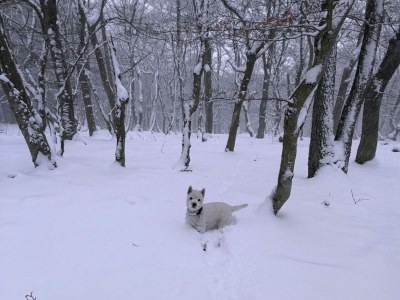Holiday house Ferienhaus Christina - Environment photo 21