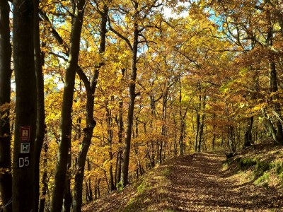 Holiday house Ferienhaus Christina - Environment photo 27