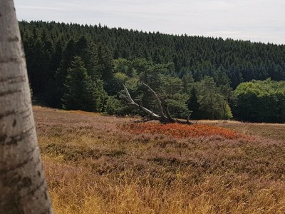 Holiday house Ferienhaus Christina - Environment photo 30