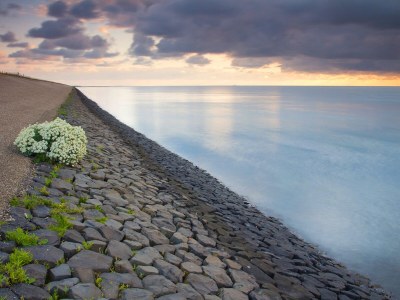 Bungalow Holiday Home De Zeebries - Stappeland 197 - Environment photo 16