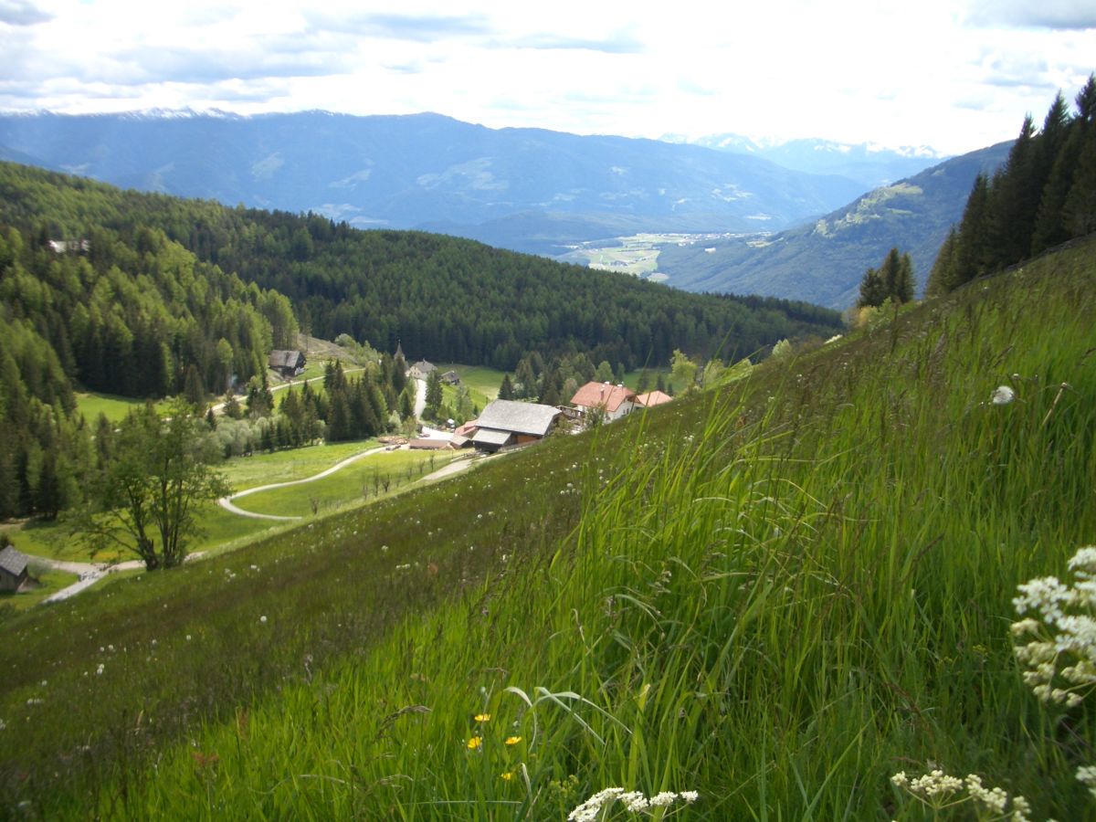 Chalet Mountain Lodge Oberplantal - Outdoor photo 2