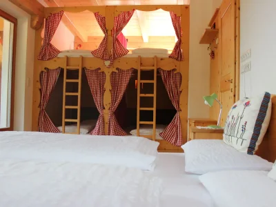 Chalet Mountain Lodge Oberplantal - Features photo 16