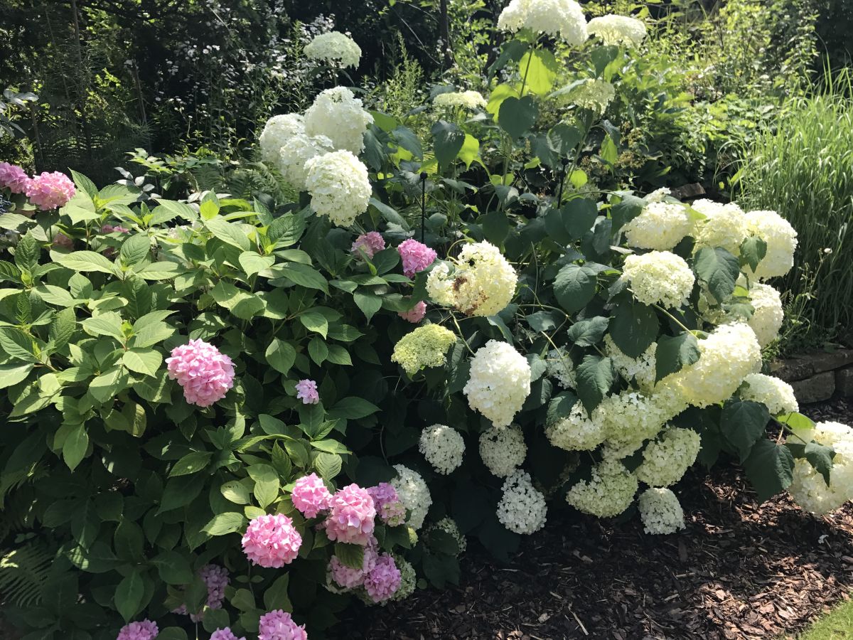 Holiday apartment Villa Babelsberg - Outdoor photo 4