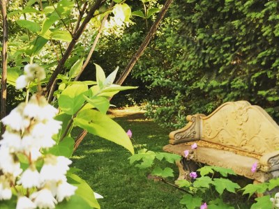 Holiday apartment Villa Babelsberg - Outdoor photo 6