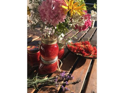 Holiday apartment Villa Babelsberg - Outdoor photo 7