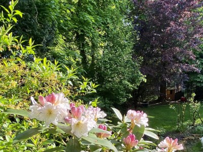 Holiday apartment Villa Babelsberg - Outdoor photo 8