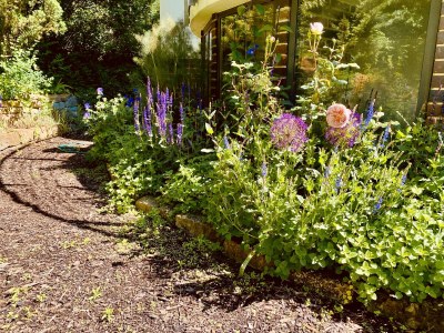 Holiday apartment Villa Babelsberg - Outdoor photo 9