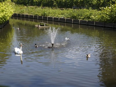 Holiday apartment Mosselbank 59 - Environment photo 20