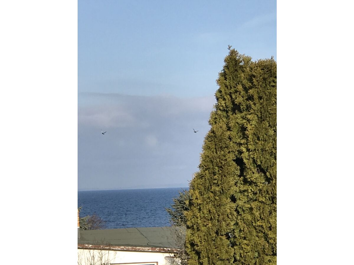 Holiday apartment Maritim - Outdoor photo 3