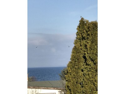 Holiday apartment Maritim - Outdoor photo 3